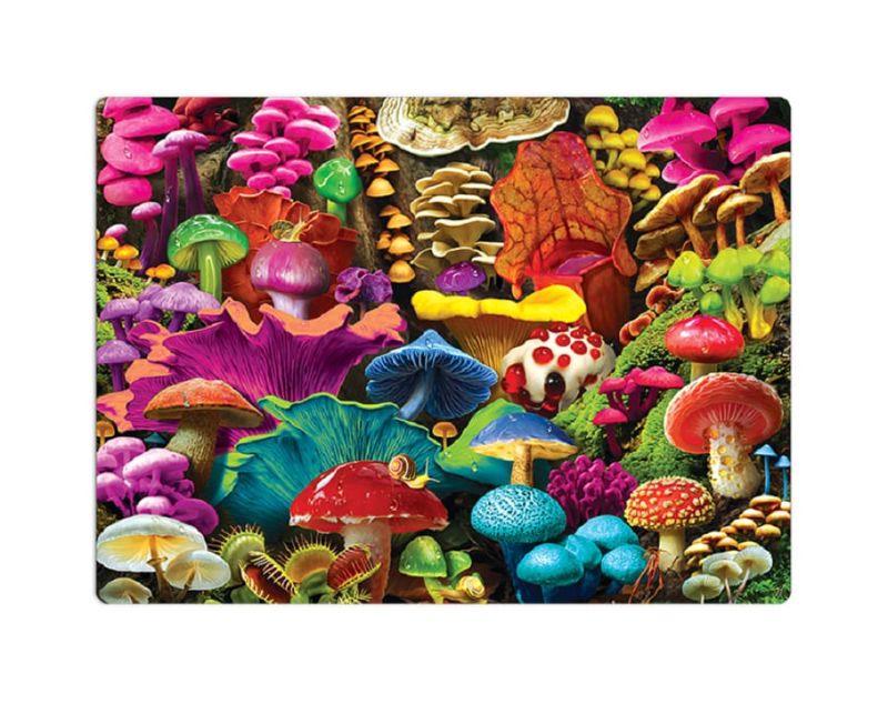 Quebra Cabeça 500 peças Natureza Estranha Fungos Fantásticos Toyster -  Lojas MM